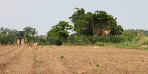 An Irrigation System