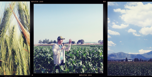 Mobile services to increase the outreach of conservation agriculture practices in Mexico