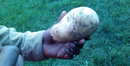 A Market-Driven Approach to developing Agri VAS