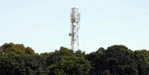 Read the latest GPM Bi-annual Report