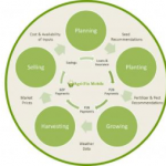 The potential of mobile phones in transforming agriculture for smallholder farmers: Results from the Agri-Fin Mobile product development and baseline surveys