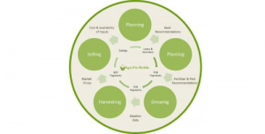 The potential of mobile phones in transforming agriculture for smallholder farmers: Results from the Agri-Fin Mobile product development and baseline surveys