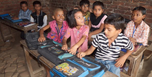 Topline-Research-Findings