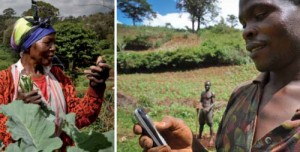 Enabling regulatory solutions for mobile money