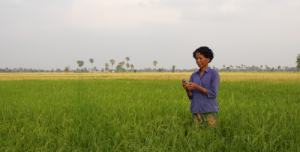 A New Framework for Digital Money Innovation