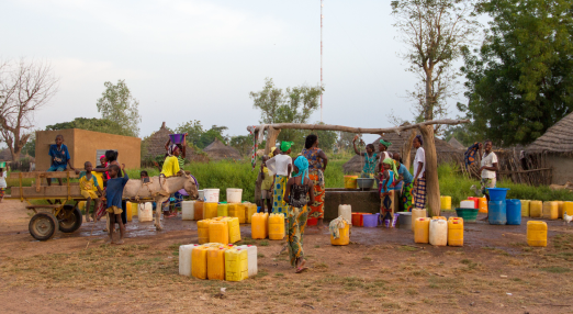 #nivoslider-556-caption-1