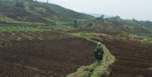 Mobile Technology and the Future of Agriculture