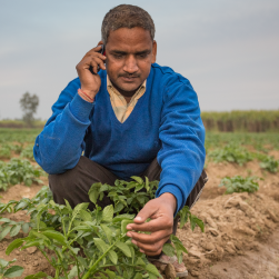 Ranjendra, mobile agriculture and health, India Ranjendra, mobile agriculture and health, India