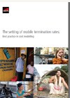 The Setting of Mobile Termination Rates: Best Practice in Cost Modelling