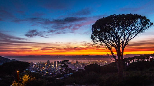 City lights at sunset glow beneath a large silhouetted tree in the foreground, with a colorful African sky above.