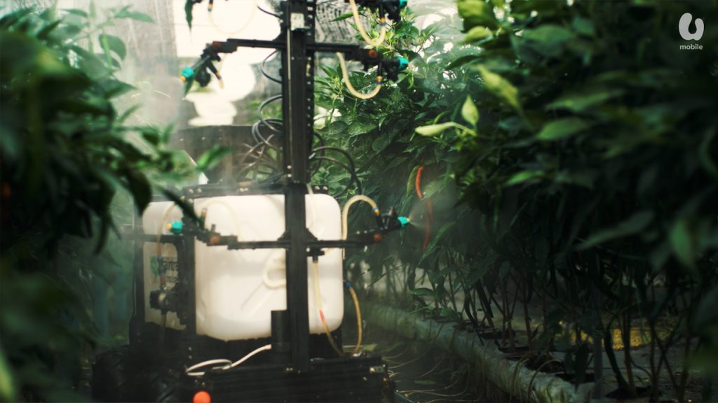 A robotic machine sprays water or chemicals onto tall green plants in a greenhouse, surrounded by mist. The scene shows automated agricultural technology used for crop care, with hoses and a large white tank attached to the robot.