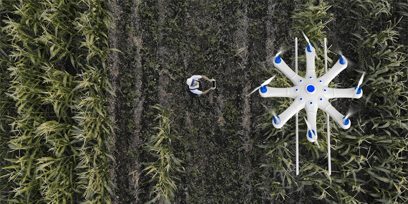 Aerial view of a person standing in a field of crops, holding a device or tablet. Nearby, a large white drone with blue accents and multiple rotors hovers over the crop rows, likely being used for agricultural purposes.