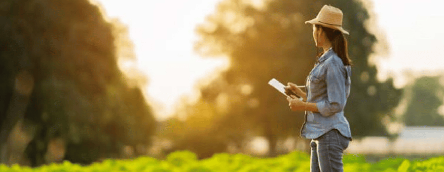 A woman wearing a hat and denim clothes stands in a sunlit field, holding a tablet and looking toward the distance. The background features blurred green crops and trees, with warm sunlight creating a bright, serene atmosphere.