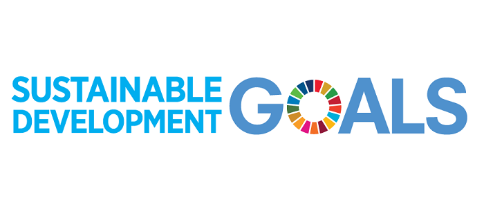 What are the SDGs?