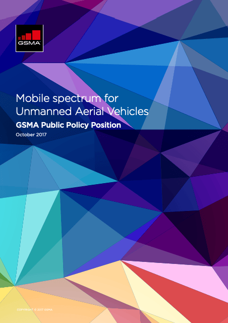 cover of report