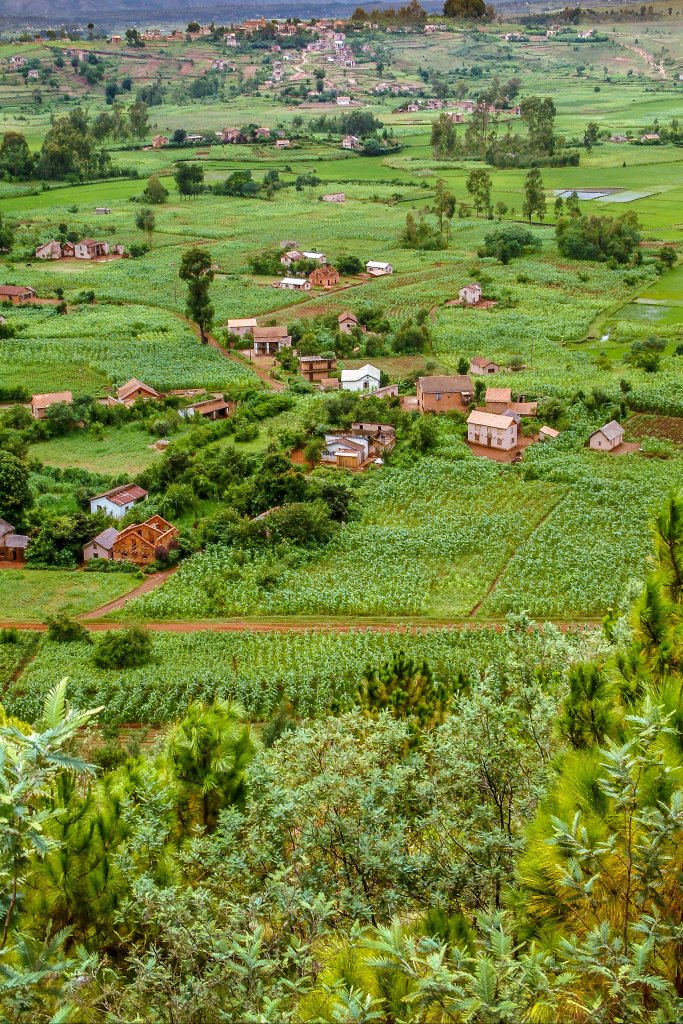 A rural landscape shows a lush green valley with scattered houses, farms, and fields. Trees and leafy plants fill the foreground, whilst GSMA Spectrum connectivity reaches small buildings among croplands and homes nestled in distant hills.