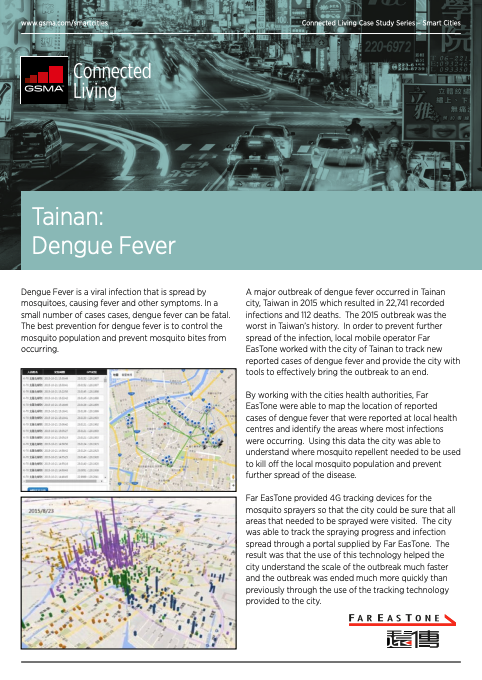 Tainan: Dengue Fever image