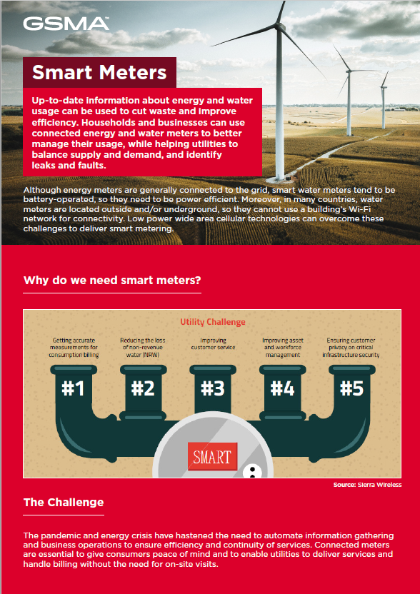 Smart Meters Fact Sheet image