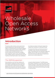 The risks associated with Wholesale Open Access Networks image