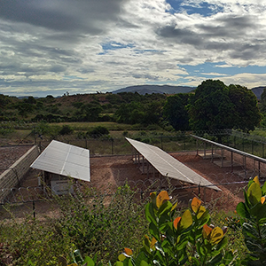 Électricité de Madagascar – Enabling Access to Electricity through Mobile-enabled Rural Mini-Grids image