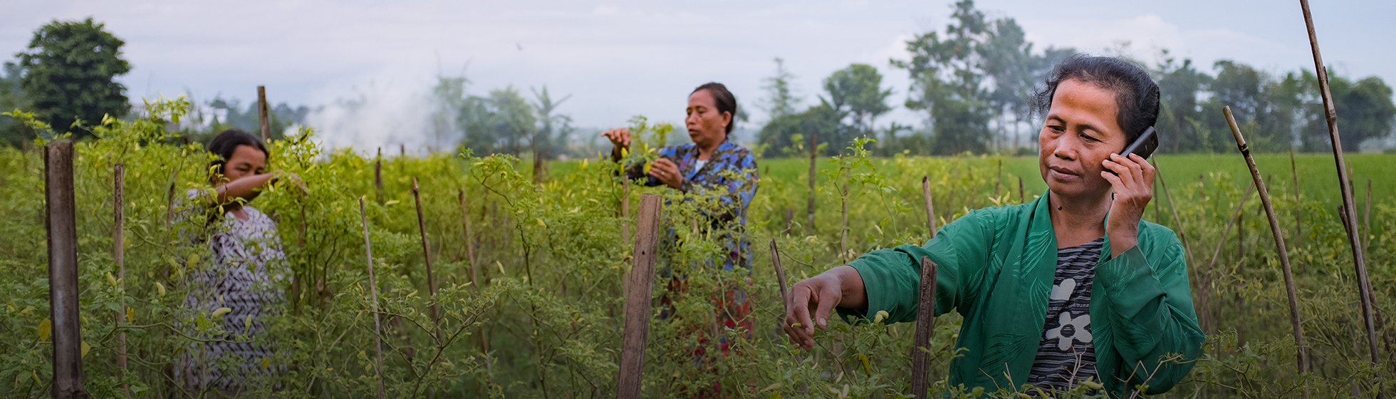 <p>Accelerating Digital and<br />
Financial Inclusion for Women</p>