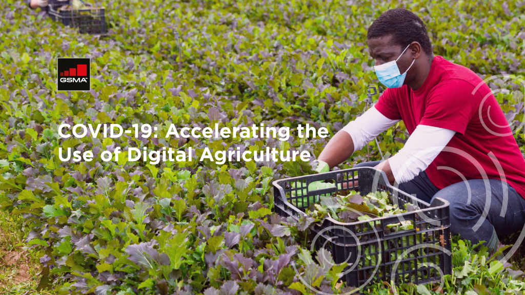 COVID-19: Accelerating the use of digital agriculture image