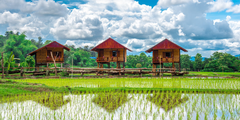 GSMA How Can Digital Tools Support Rural Tourism Enterprises In 