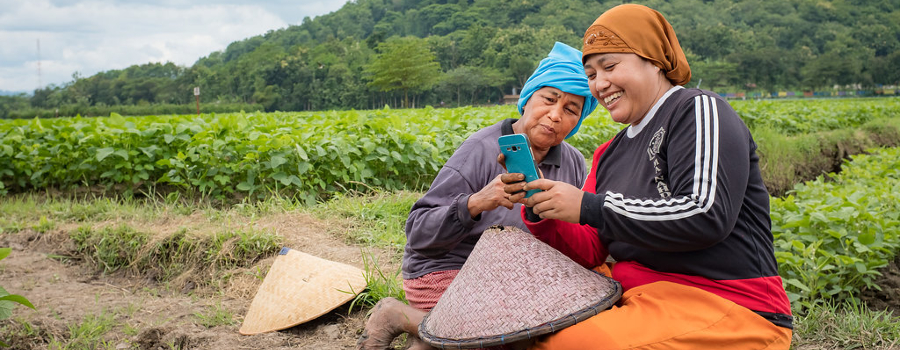 Photo of women farmers in Indonesia using mobile phone