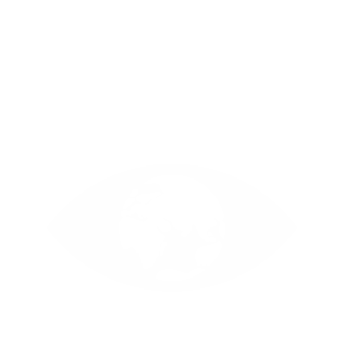goal 13