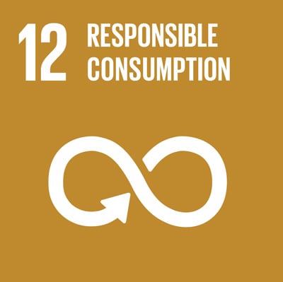 Responsible Consumption and Production