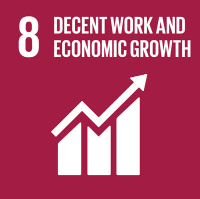 Decent Work and Economic Growth