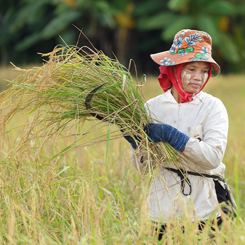 Educating farmers - External Affairs