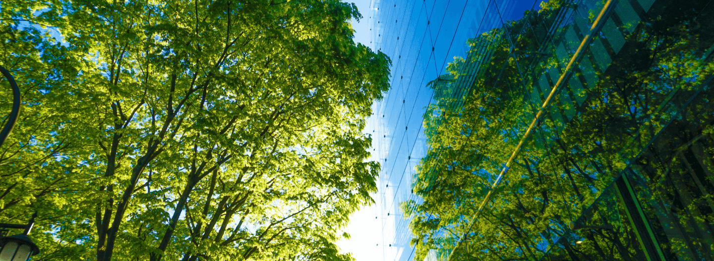 Lush green trees line a street under a clear blue sky, with sunlight filtering through the leaves and reflections on a sustainable glass building to the right.