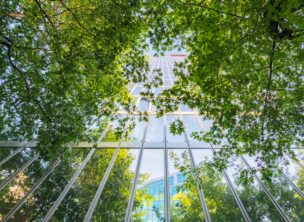Upward view of a glass skyscraper framed by lush green tree branches, blending urban architecture with natural elements in a demonstration of sustainable and responsible business leadership.