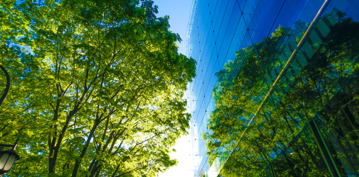 Tall green trees with sunlit leaves stand next to a modern glass building, symbolizing harmony between nature and architecture. This vibrant scene reflects sustainable and responsible business leadership, uniting urban growth with care for planet and people.