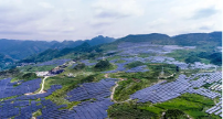 A vast solar farm stretches across rolling green hills and valleys, with countless blue solar panels arranged in rows. Mountains and a cloudy sky are visible in the distance, and winding roads cut through the landscape.