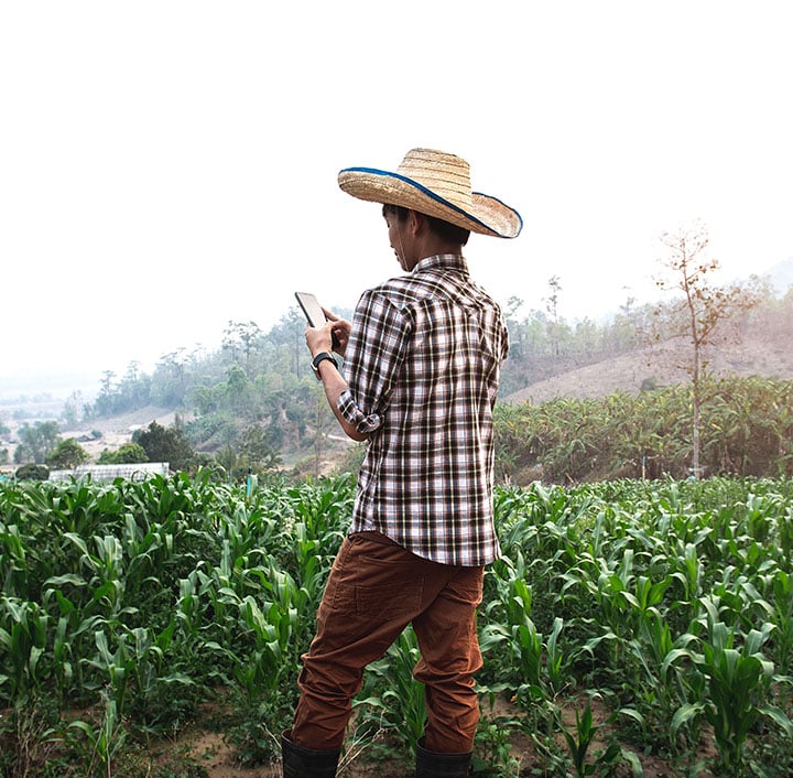 A person wearing a straw hat, checked shirt, and brown pants stands in a green crop field using a tablet device, highlighting efforts to bridge the digital divide in rural agriculture. Hills, scattered trees, and a bright sky fill the background.