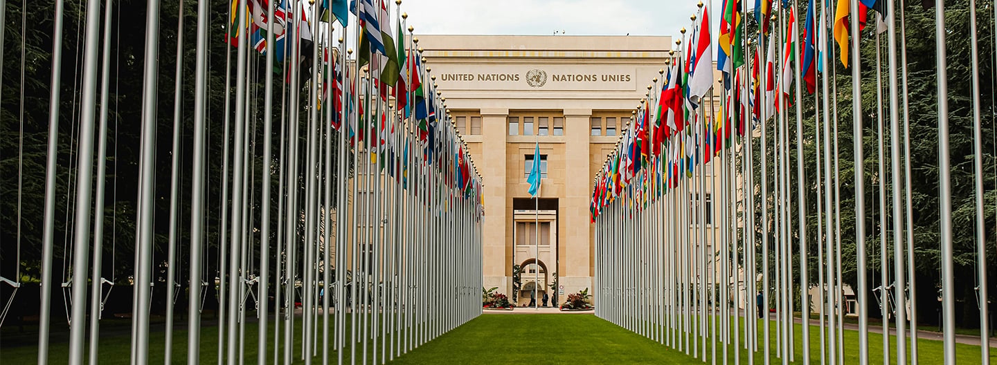 Rows of flagpoles with various national flags line both sides of a green lawn leading up to the United Nations building in Geneva, Switzerland—a hub for NGOs and international relations, with the UN emblem above its entrance.