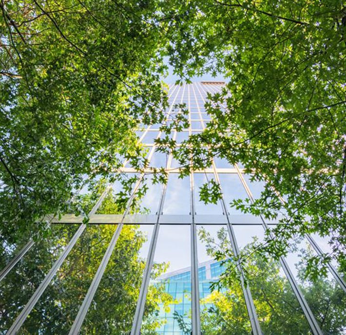 A glass skyscraper is seen from below, framed by green tree branches and leaves. Its reflective windows mirror the sky, blending sustainability with urban architecture. Sunlight filters through the leaves, connecting planet and people in a bright, airy scene.