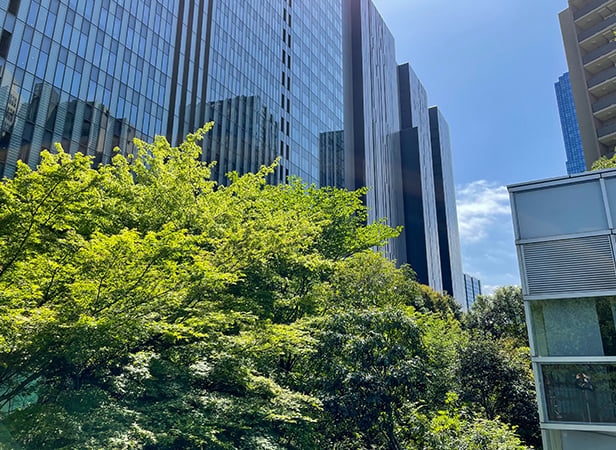 Tall glass office buildings rise behind lush green trees under a bright blue sky. Sunlight reflects off the windows, while vibrant foliage fills the foreground, highlighting a balance between urban architecture and sustainability for planet and people.