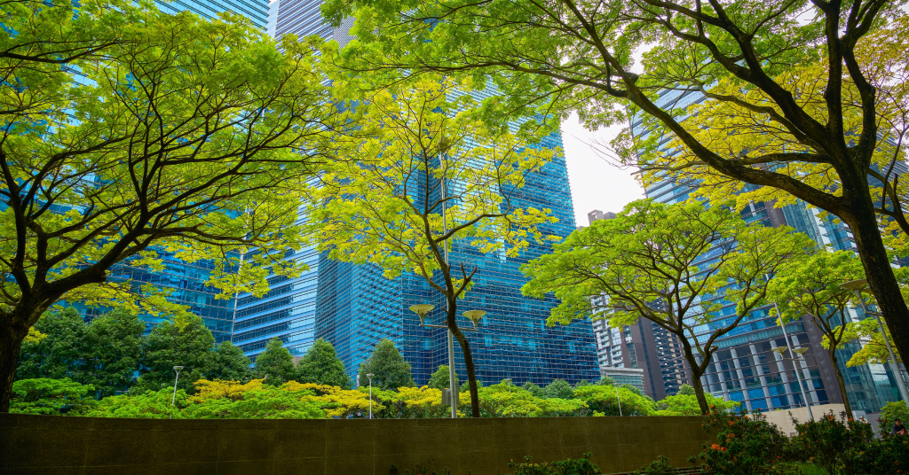 Green trees in an urban park with modern glass skyscrapers in the background on a clear day.
