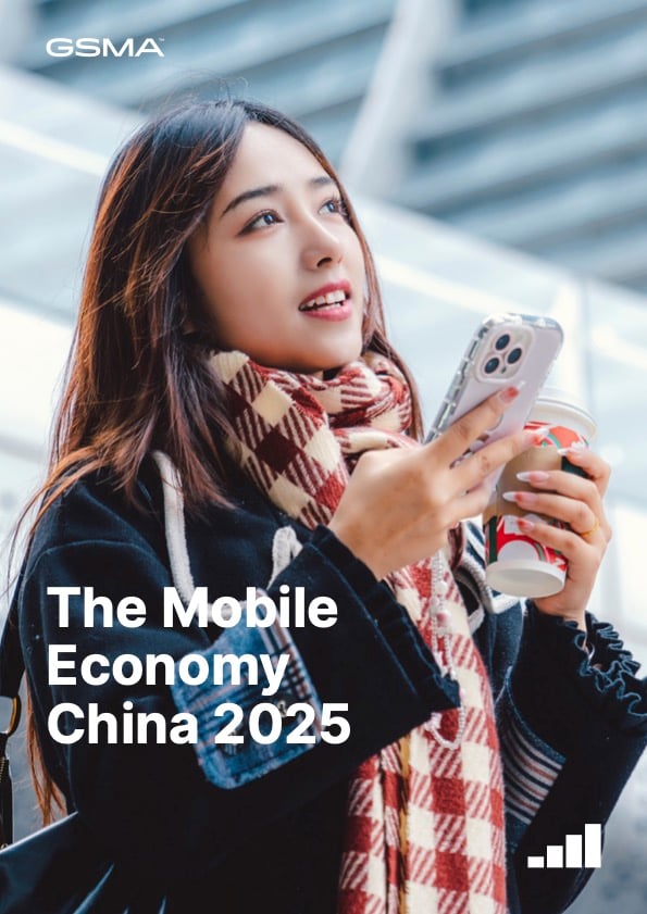 2025 report