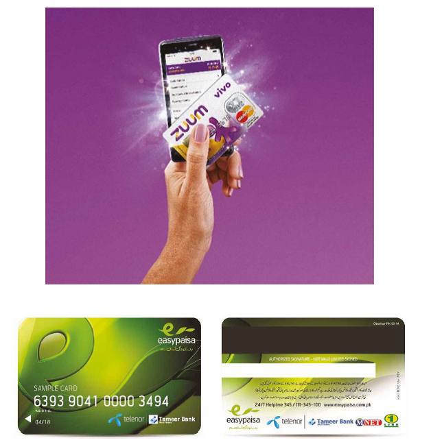 Companion cards & mobile money: A comprehensive look into industry ...