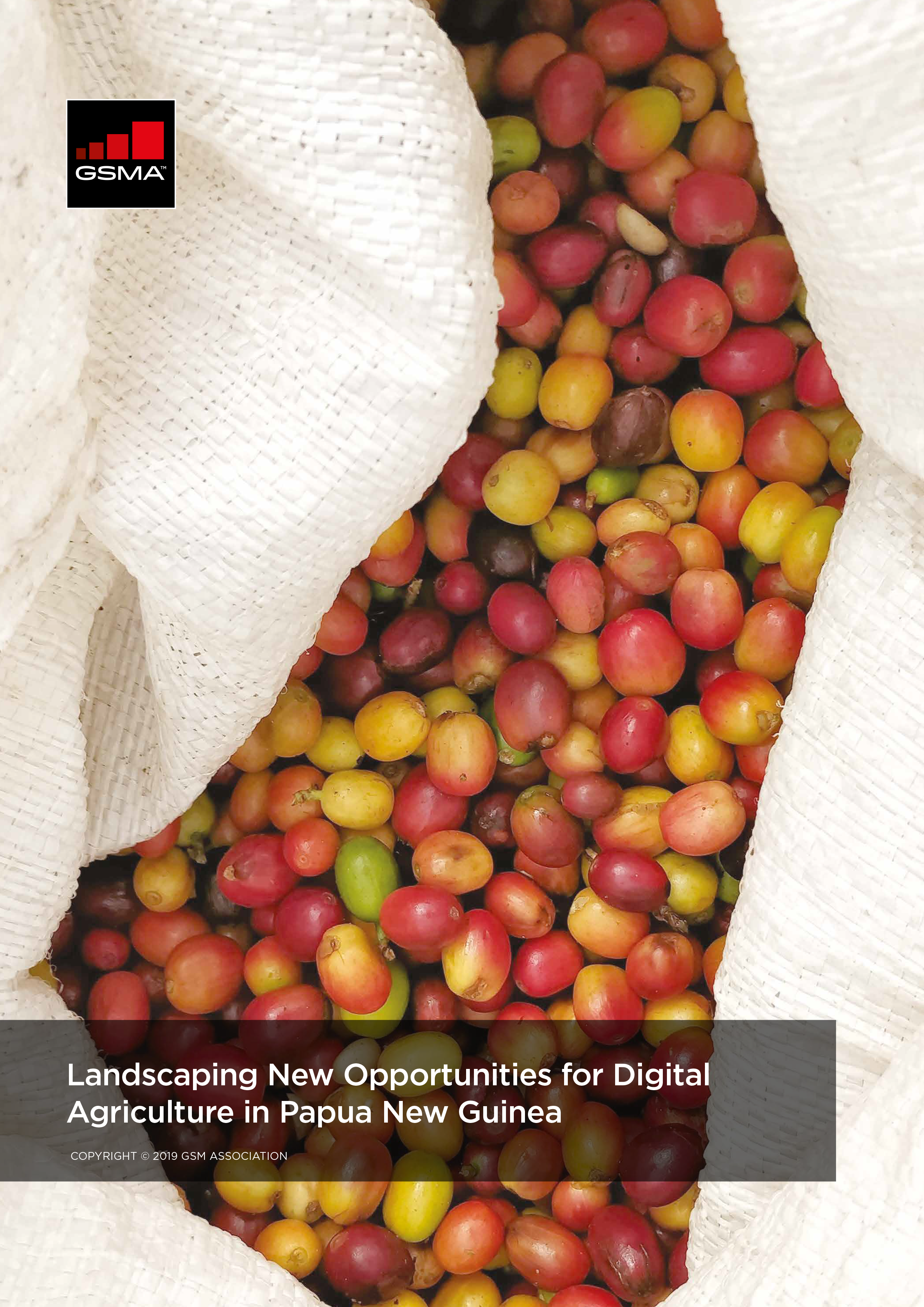 Landscaping New Opportunities for Digital Agriculture in Papua New Guinea image