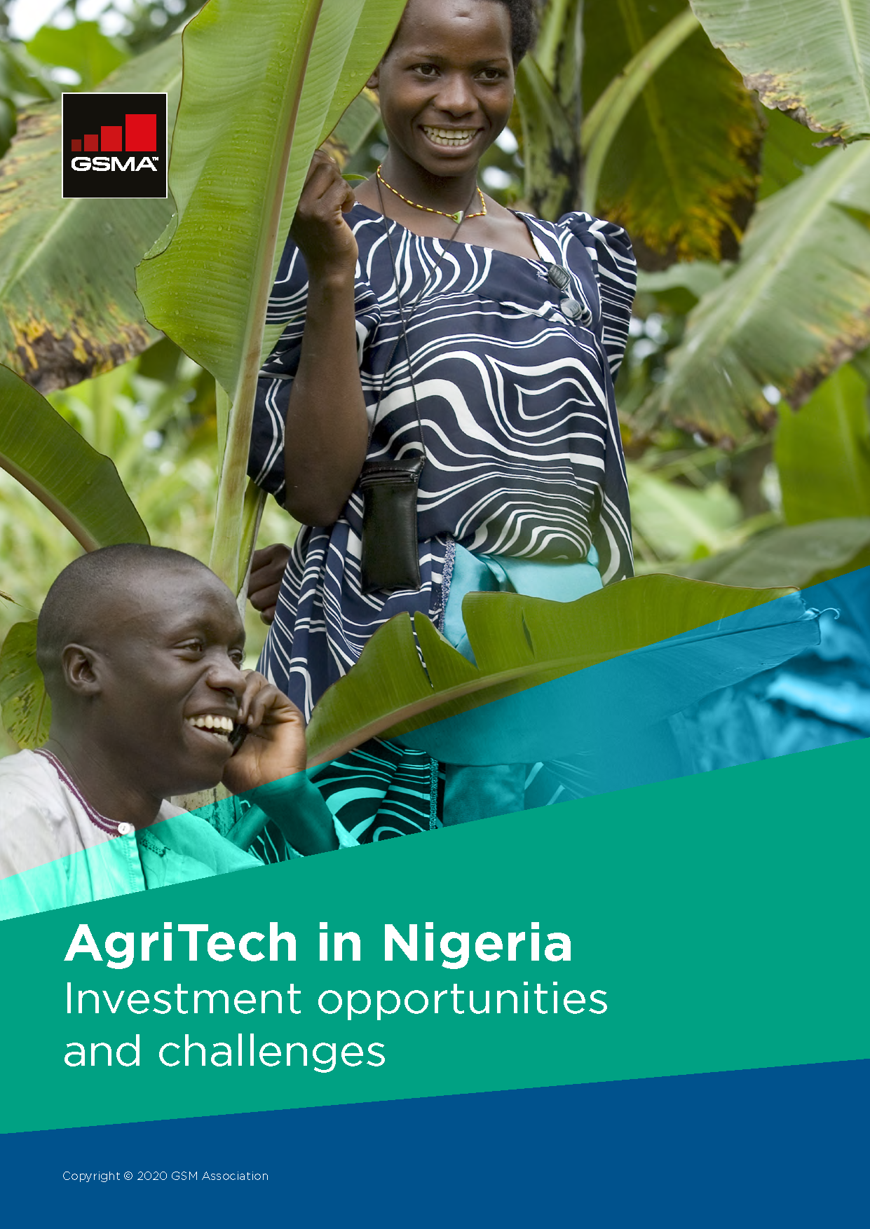 AgriTech in Nigeria: Investment opportunities and challenges image