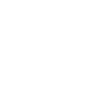 Analytics icon