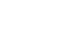 Connections icon