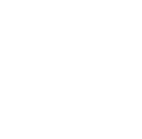 Guidelines icon