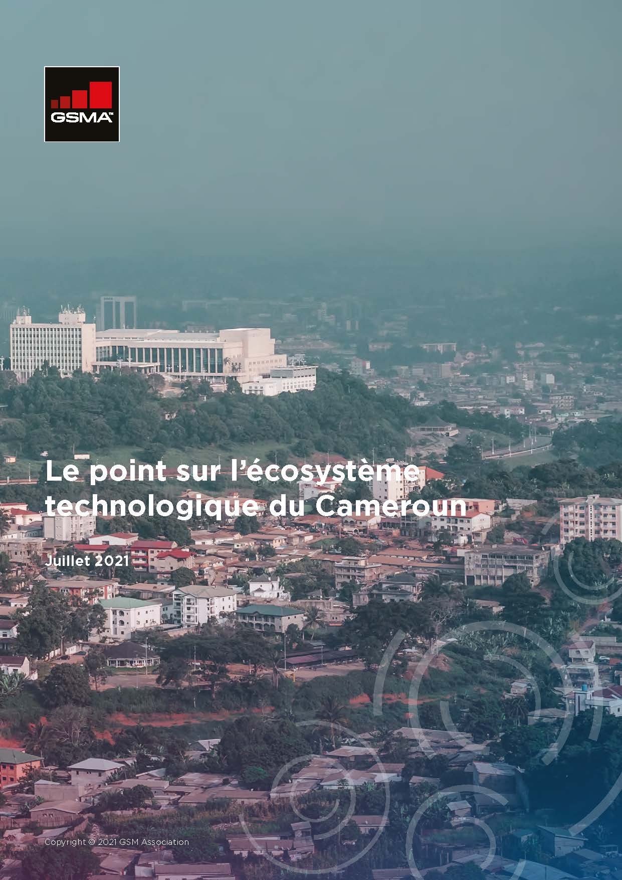 Navigating the Tech Ecosystem in Cameroon image