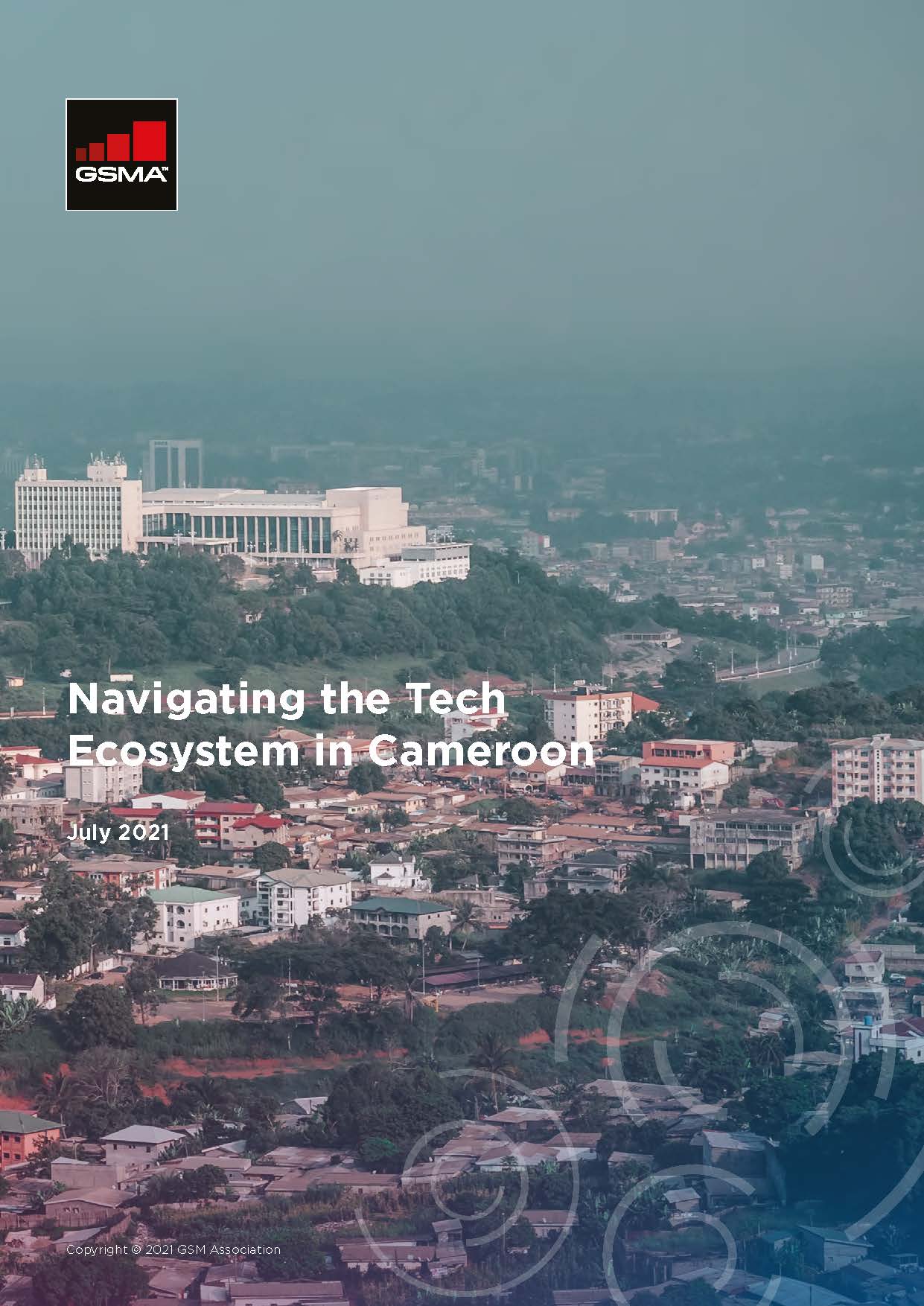 Navigating the Tech Ecosystem in Cameroon image